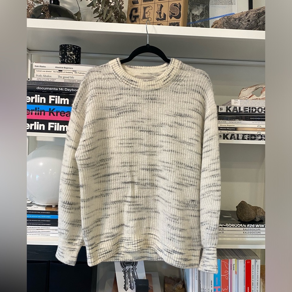 Everlane Cocoon Crew in Alpaca